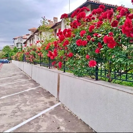 Blue Triumph Apartment *