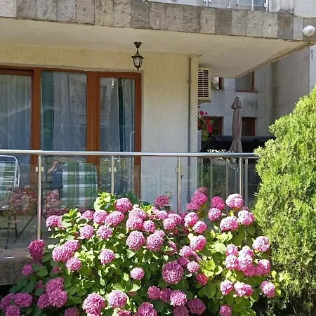 Apartment Blue Triumph Sweti Wlas